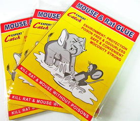 廠家直銷環(huán)保外貿(mào)粘鼠膠板——義烏市綠亞日用品廠，一站式采購指南